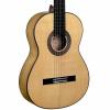 Pavel Gavryushov Master Guitar, spruse / maple