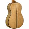 Pavel Gavryushov Master Guitar, spruse / maple