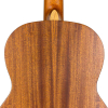 Kremona S62C OP (7/8) Konzertgitarre
