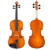 Samuel Eastman VL150 [ru]Скрипка[/ru][en]Violin[/en][de]Geige[/de] 4/4 - 1/32