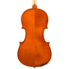 Samuel Eastman VL170 Geige 4/4 - 1/4