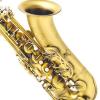 Tenor Saxophone Buffet Crampon BC8402-4-0 matt