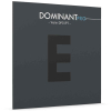 E Thomastik Dominant Pro DP01PT Saite für Violine | Stahl, Platin