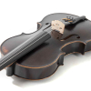 GEWA Paris Viola