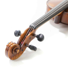 GEWA Prag Viola 15,5"