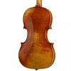 Violin  Hofner H115 BG-V Guadanini