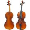 Geige Paesold PA803HV
